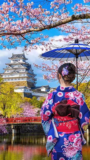Femme avec un parapluie qui observe un château traditionnel japonais